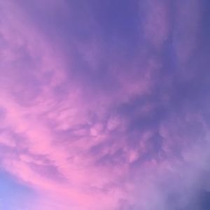 Meet your Posher, Sofia